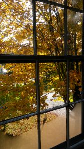 Prentiss Smith & Company's Brattleboro VT office, view from 2nd floor window